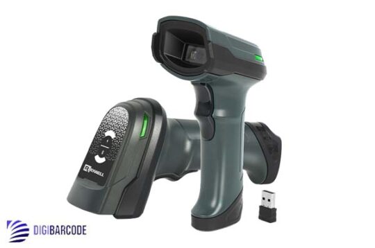 Raywell RS-B66