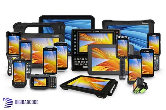 هندهلد زیبرا Zebra